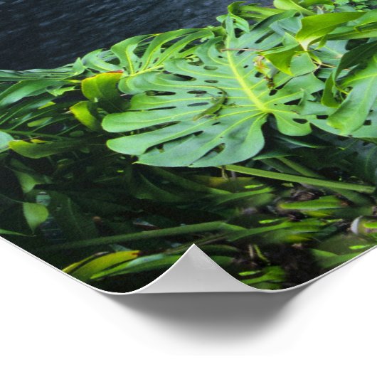 Hawaii, Big Island, Hilo, Regenbogenfälle, Lush Poster (Ecke)