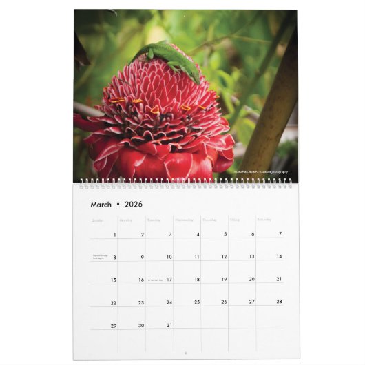 Hawaii Big Island Landschaftlich Travel Fotografy Kalender (Mär 2026)