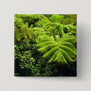 Hawaii, Big Island, Üppige tropische Vegetation in Button