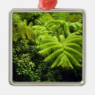 Hawaii, Big Island, Üppige tropische Vegetation in Silbernes Ornament