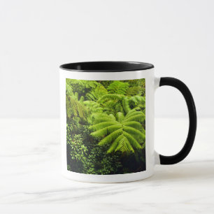 Hawaii, Big Island, Üppige tropische Vegetation in Tasse