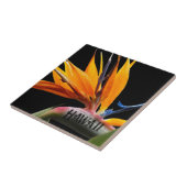 Hawaii Bird of Paradise Pflanze Blume Fliese (Seite)