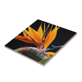 Hawaii Bird of Paradise Pflanze Blume Fliese