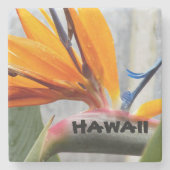 Hawaii Bird of Paradise Pflanze Blume Steinuntersetzer (Vorderseite)