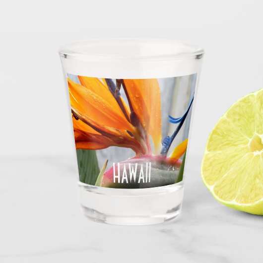 Hawaii Bird of Paradise Pflanze Floral Schnapsglas (Vorderseite)