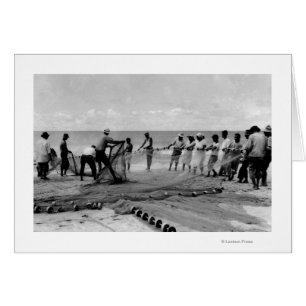 Hawaii - Blick auf die Hukilau-Netze an der Küste