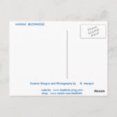 HAWAII BLOGANOLE#2 POSTCARD POSTKARTE (Rückseite)