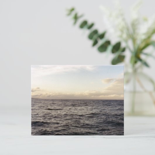 Hawaii Blue Postkarte (Stehend Vorderseite)