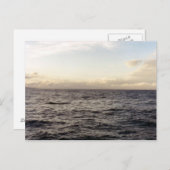 Hawaii Blue Postkarte (Vorne/Hinten)