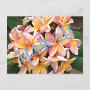 Hawaii-Blume für alle Postkarte