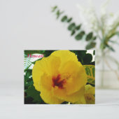 Hawaii Blume Gelber Hibiskus Postkarte (Stehend Vorderseite)