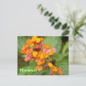 Hawaii-Blume Postkarte (Stehend Vorderseite)