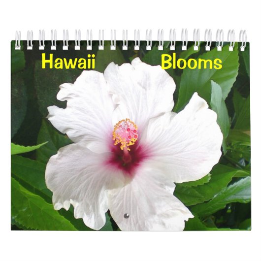 Hawaii-Blüten Kalender (Titelbild)