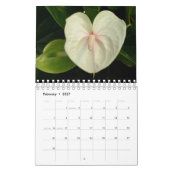 Hawaii-Blüten Kalender (Feb 2027)