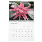 Hawaii-Blüten Kalender (Jan 2026)