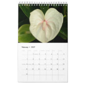 Hawaii-Blüten Kalender (Feb 2027)
