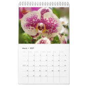 Hawaii-Blüten Kalender (Mär 2027)