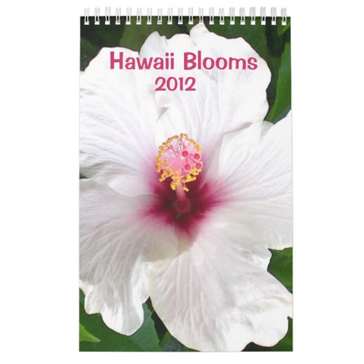 Hawaii-Blüten Kalender (Titelbild)