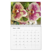 Hawaii Blüten mit Blume Kalender (Mär 2026)