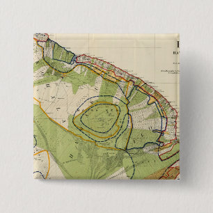 Hawaii Button