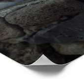 Hawaii Cat Poster (Ecke)