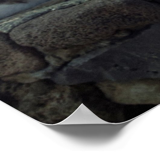 Hawaii Cat Poster (Ecke)