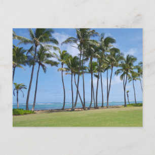 Hawaii Coast Postcard Postkarte