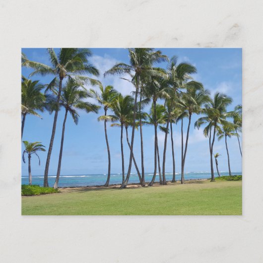 Hawaii Coast Postcard Postkarte (Vorderseite)