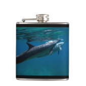 Hawaii-Delphine Flachmann (Vorderseite)