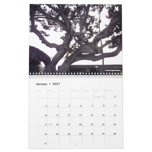 Hawaii der große Insel-Kalender Kalender (Jan 2027)
