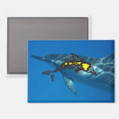 Hawaii Dolphin Islands Magnet (Vorderseite/Rückseite)