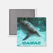Hawaii Dolphin Magnet (Vorderseite/Rückseite)