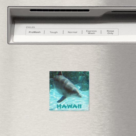 Hawaii Dolphin Magnet (In Situ (Geschirrspüler))