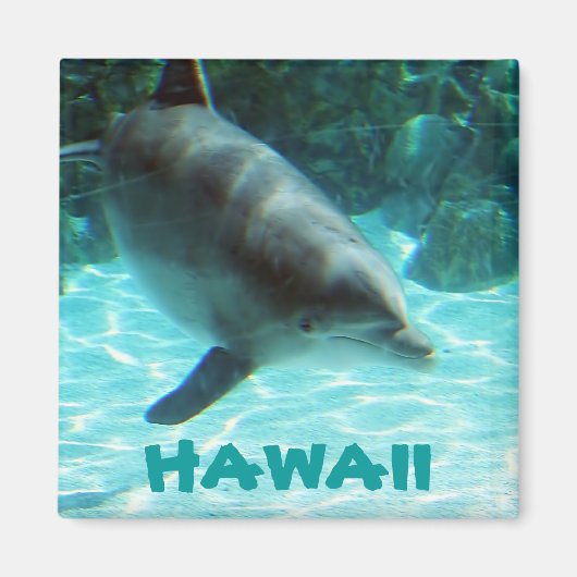 Hawaii Dolphin Magnet (Vorne)