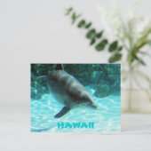 Hawaii Dolphin Postkarte (Stehend Vorderseite)