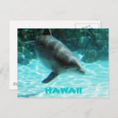 Hawaii Dolphin Postkarte (Vorne/Hinten)