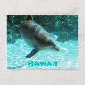 Hawaii Dolphin Postkarte (Vorderseite)