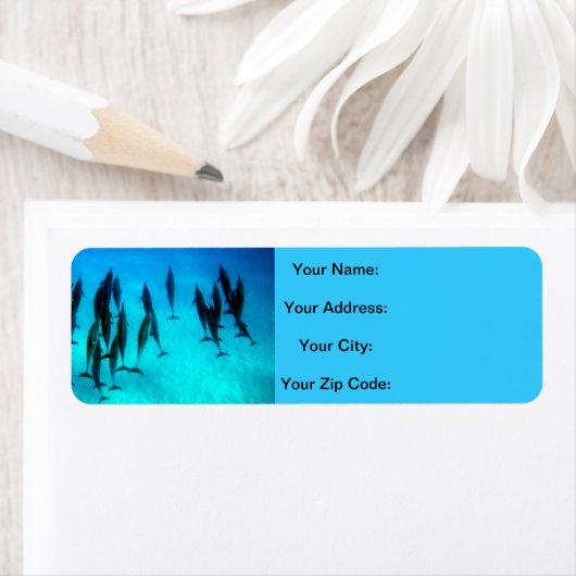 Hawaii Dolphins (Insitu)