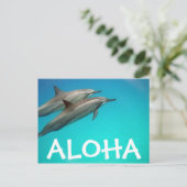 Hawaii Dolphins Post Card Postkarte (Stehend Vorderseite)