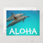 Hawaii Dolphins Post Card Postkarte (Vorne/Hinten)