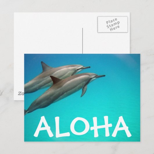 Hawaii Dolphins Post Card Postkarte (Vorne/Hinten)