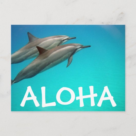 Hawaii Dolphins Post Card Postkarte (Vorderseite)
