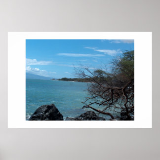 Hawaii-Fischerei Poster