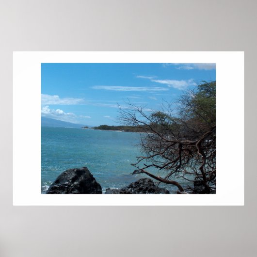 Hawaii-Fischerei Poster (Vorne)