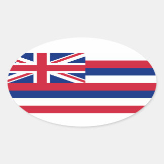 Hawaii* Flag Europa-Stil Oval Ovaler Aufkleber