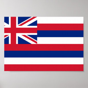 Hawaii Flag Poster