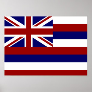 Hawaii-Flagge Poster