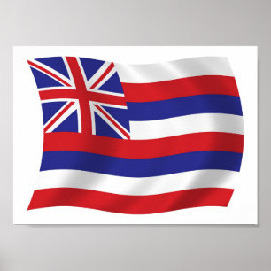 Hawaii-Flagge Poster Druck