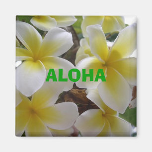 Hawaii flowers1, ALOHA Magnet