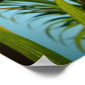 Hawaii-Gecko-Palmenposter Poster (Ecke)